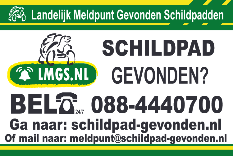 Meldpunt voor gevonden schildpadden BEL 088 444 0 700